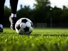 曼联以三球,优势击败布,莱顿,球盟会官网,球盟会官网全球信赖,球盟会官网在线娱乐平台