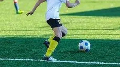 球盟会 产品 032130 vif