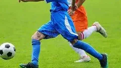 球盟会 产品 090145 b1l