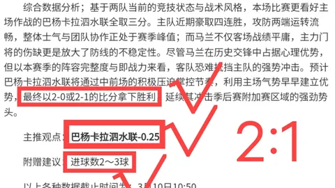 布萊頓夏季補強成功，荷蘭U21國門加入球隊！